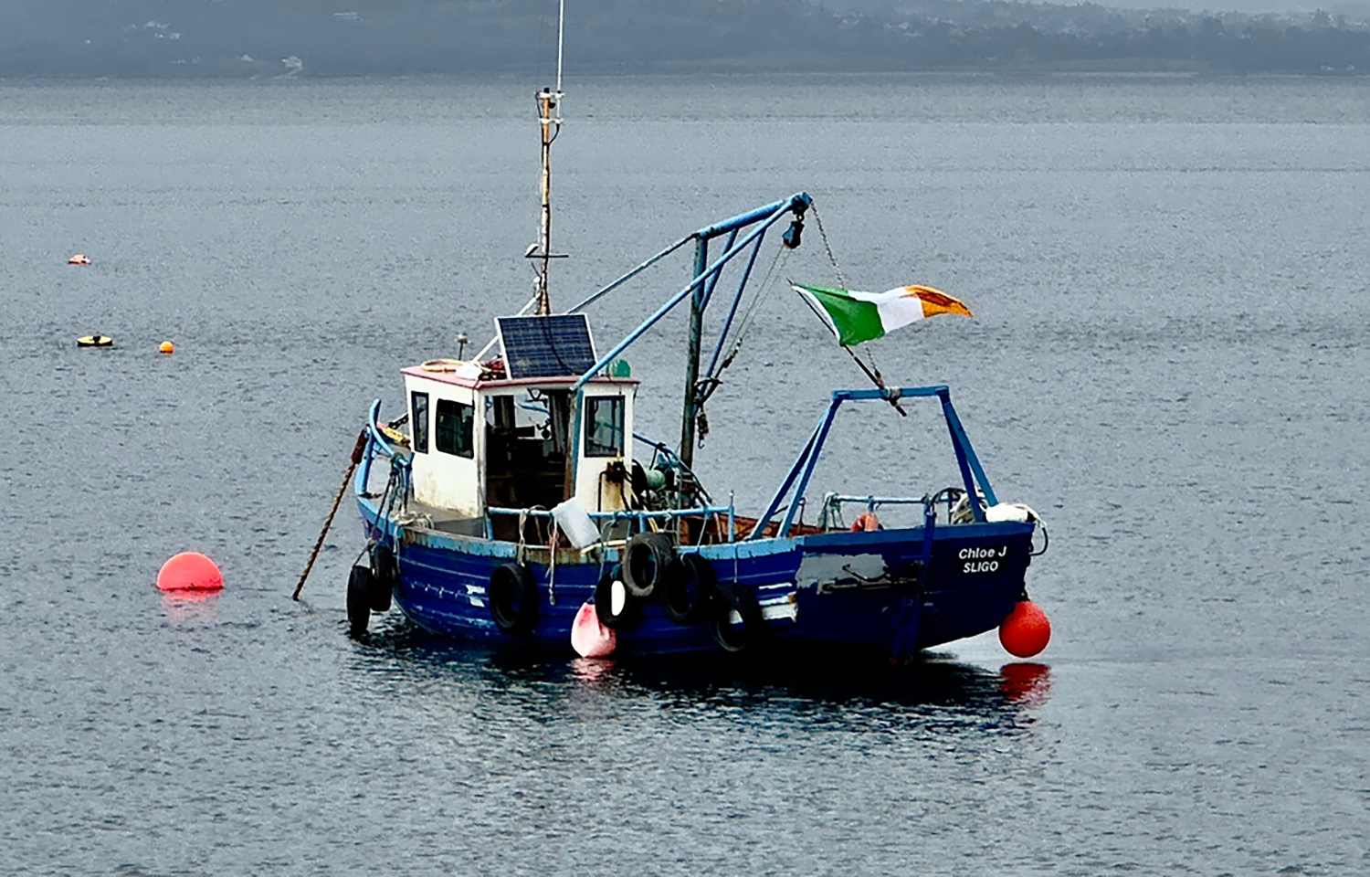 Irish fishing industry wants government to sue EU over quotas