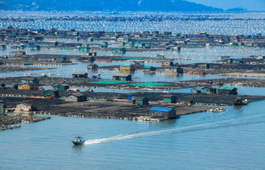 Aquaculture operations in China