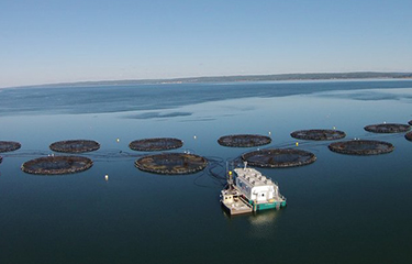A Cooke Aquaculture operation in Nova Scotia, Canada.
