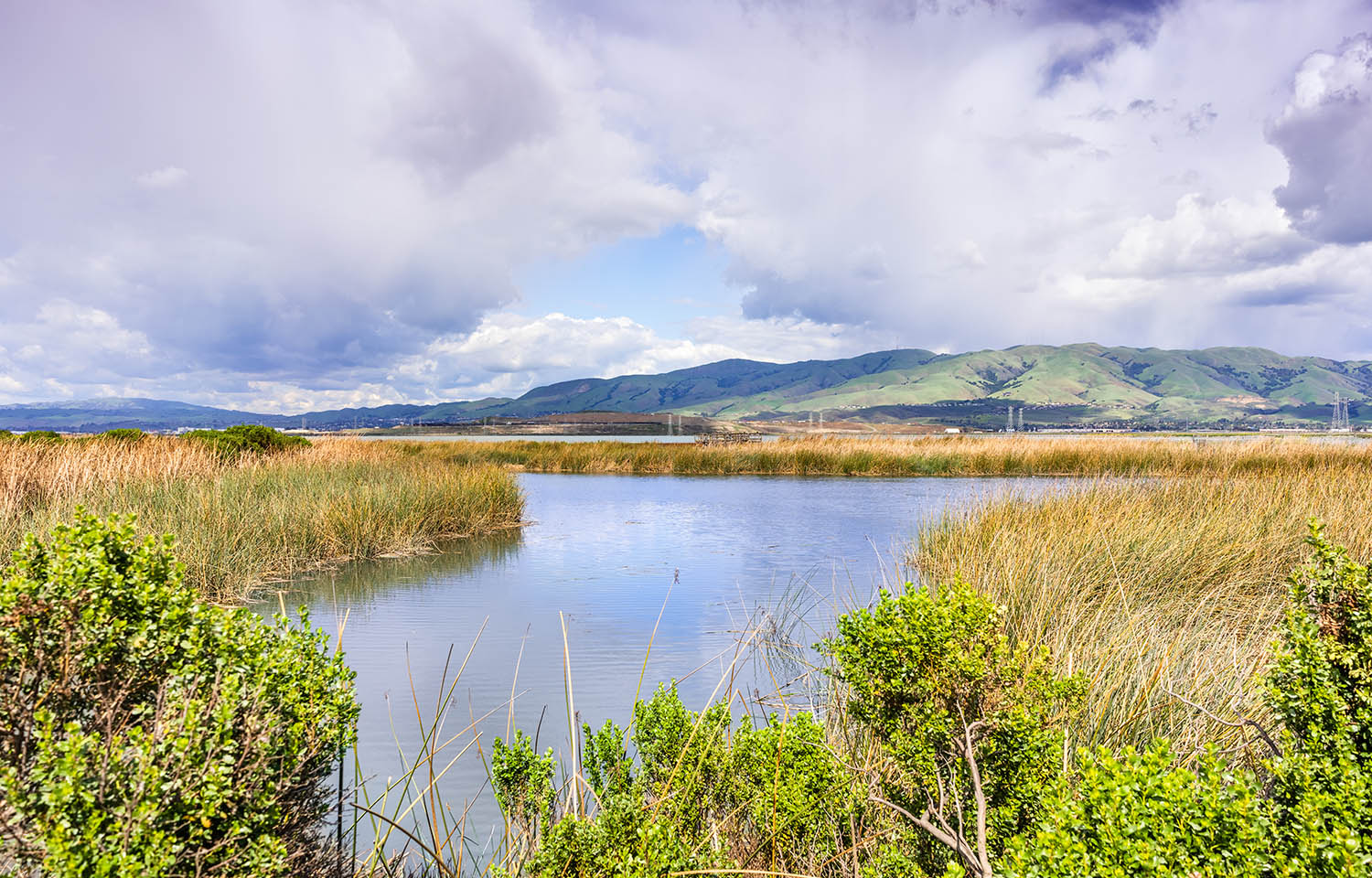 A wetland area in the U.S. state of California