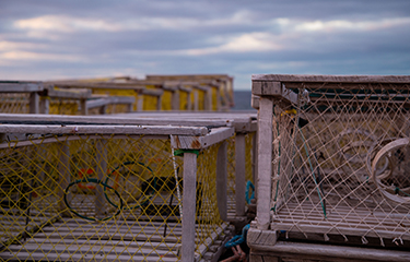 Nova Scotia lobster traps. The government of Canada has signed an agreement with Bear River and Annapolis Valley First Nations members to establish a lobster season