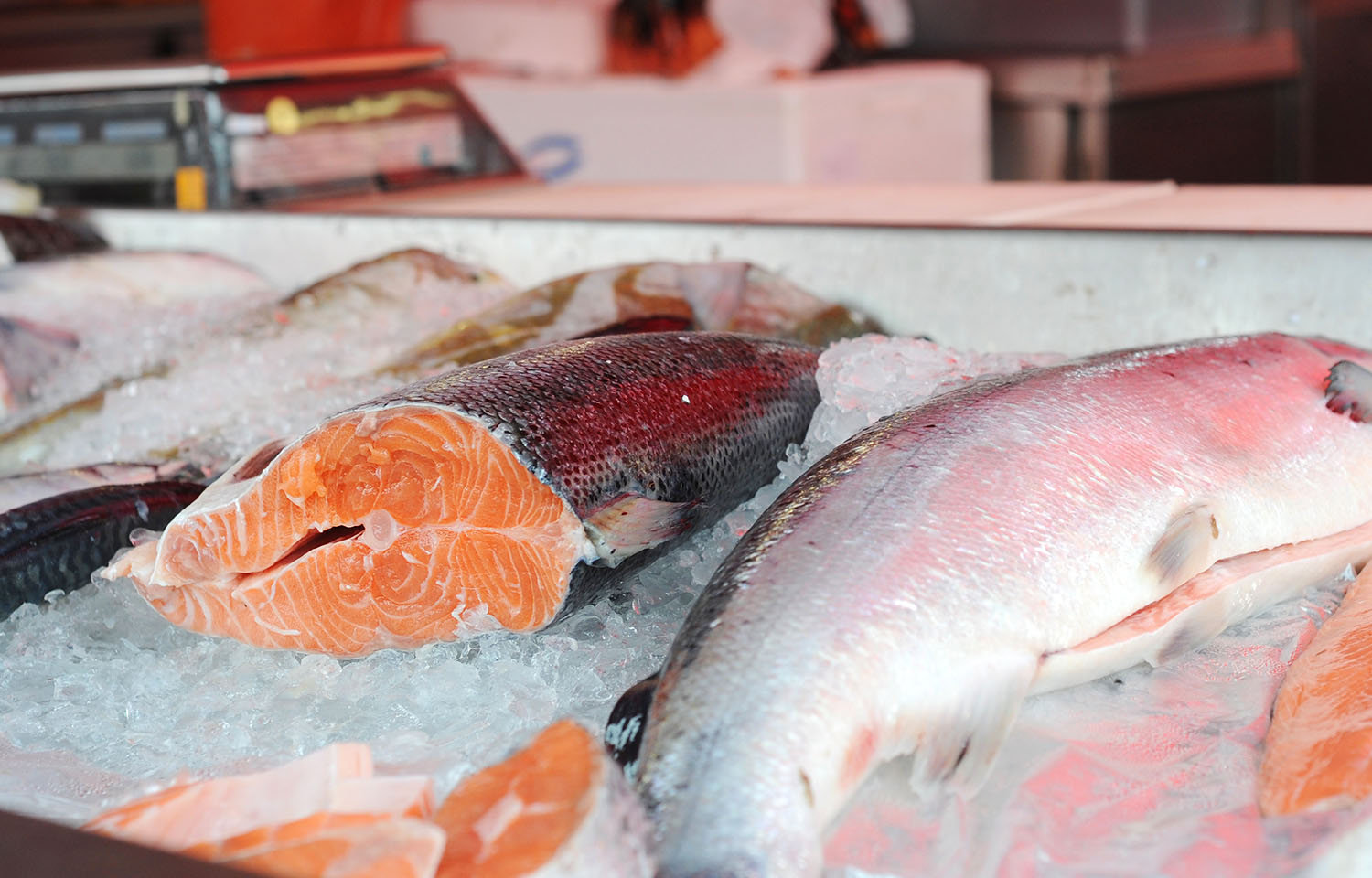 Salmon on display in a Norwegian market in Bergen