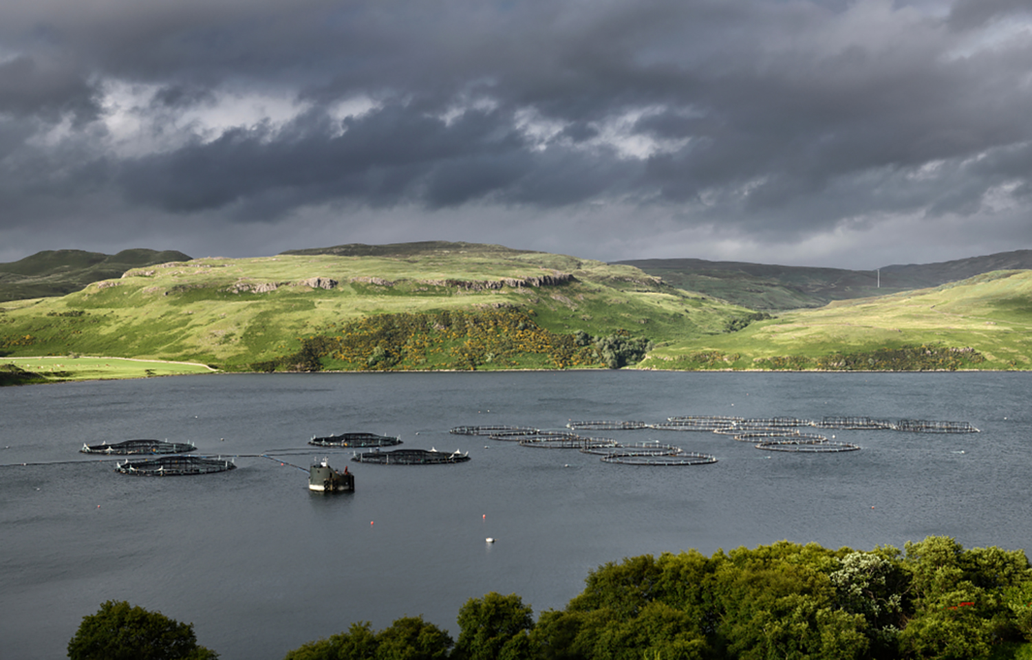 A salmon farm in Scotland