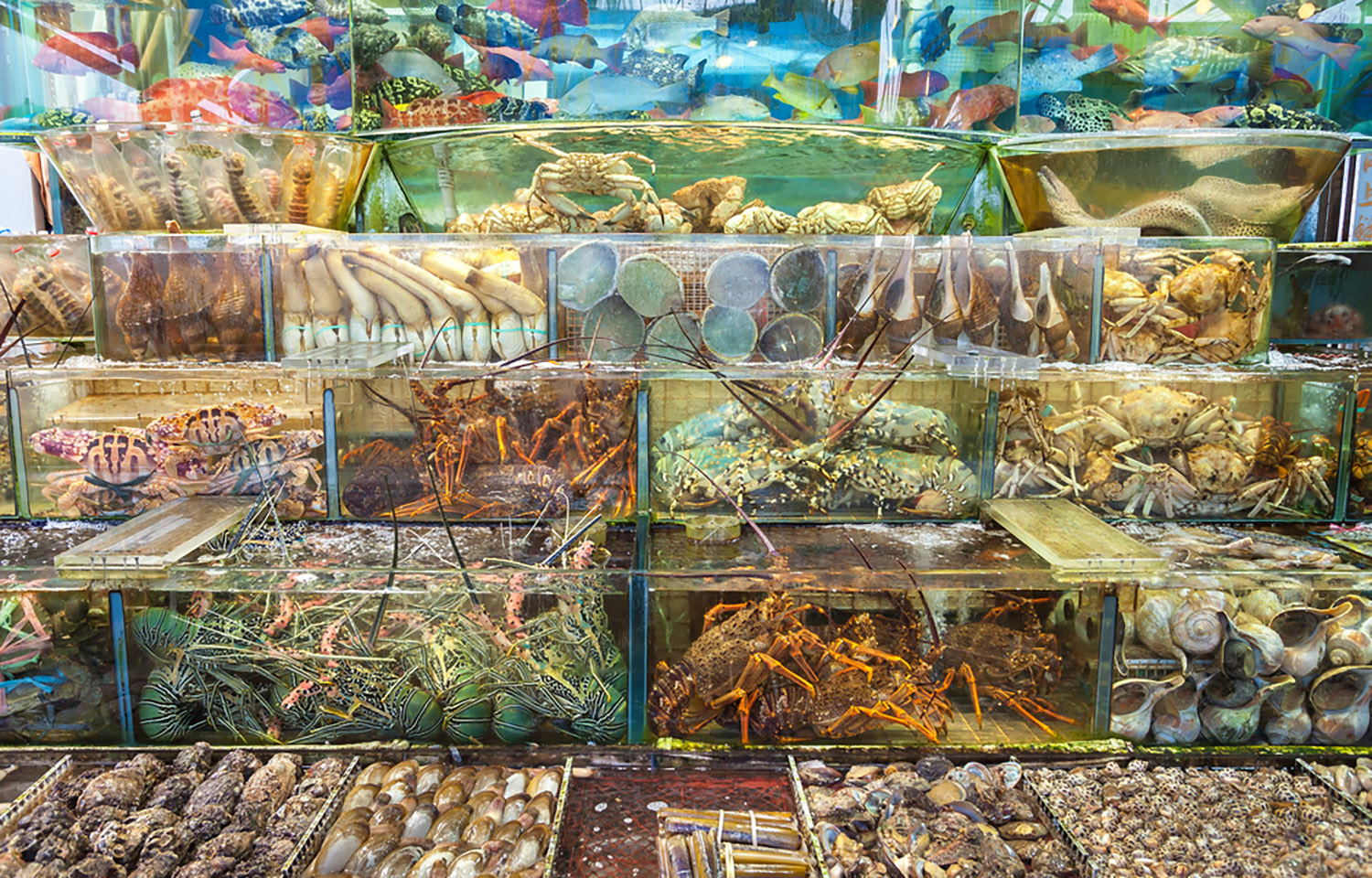Live seafood market in Hong Kong