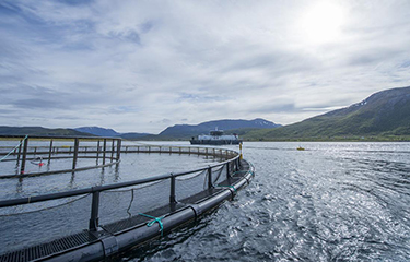 AKVA Group aquaculture equipment in the water.