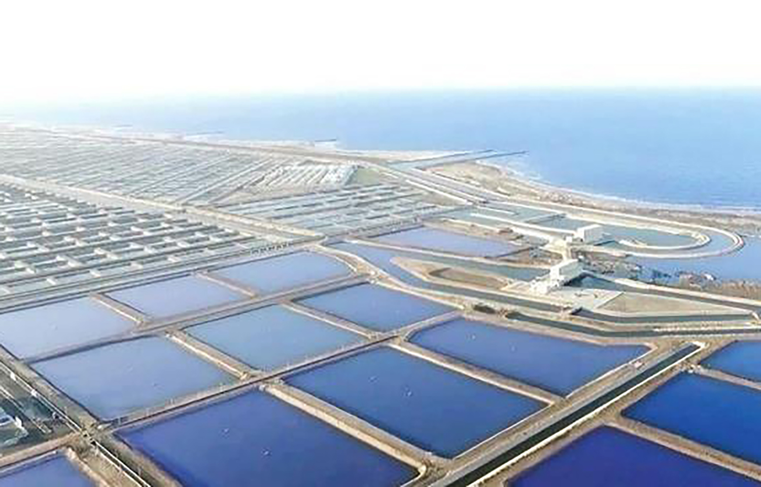 The Berket Ghalioun Fishing and Aquaculture project
