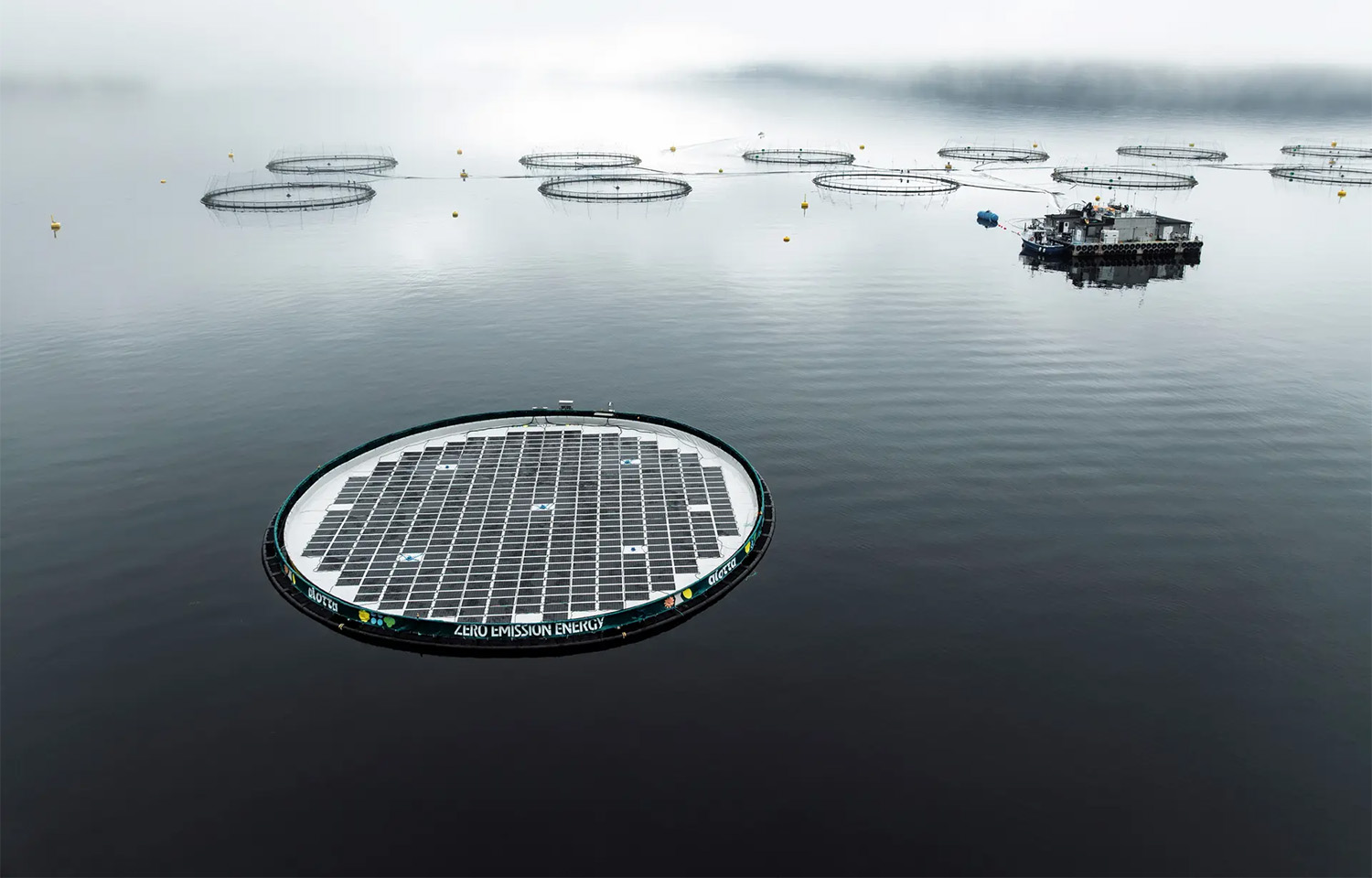 Norwegian solar energy company Alotta raises millions after uptake from salmon farming industry