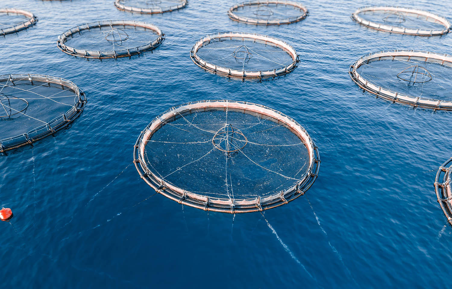 aquaculture