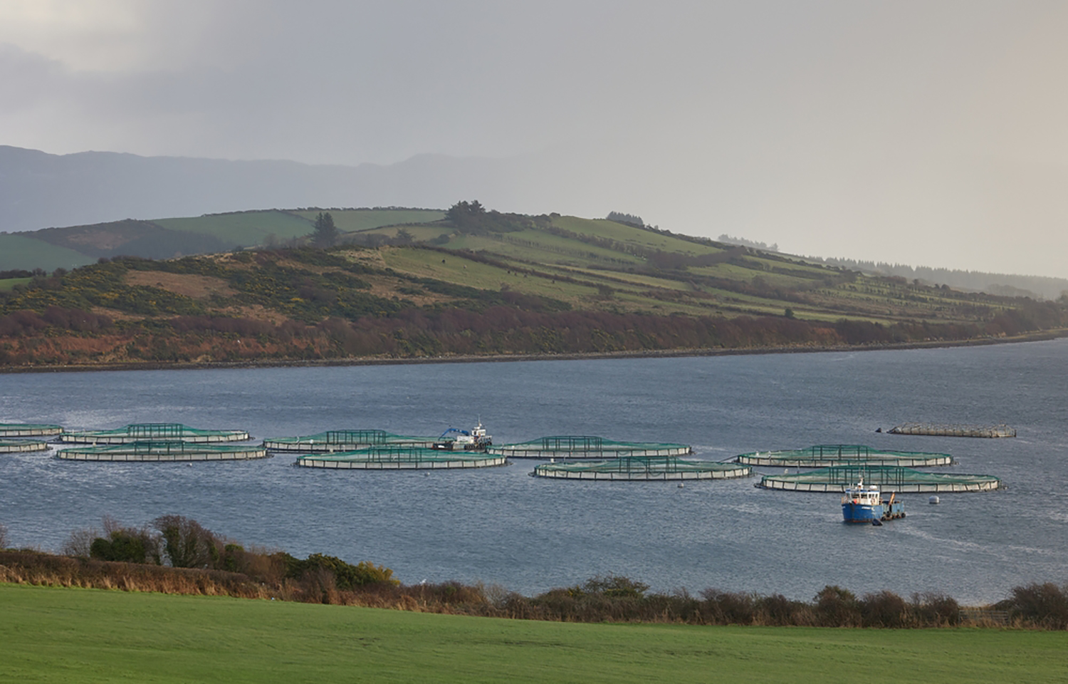 A fish farm in County Donegal, Ireland