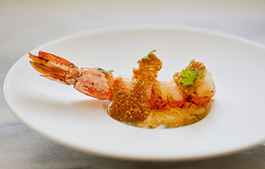 Curtis Stone (5)_preview.jpg