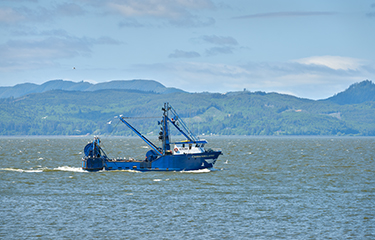 Columbia River fishing boats