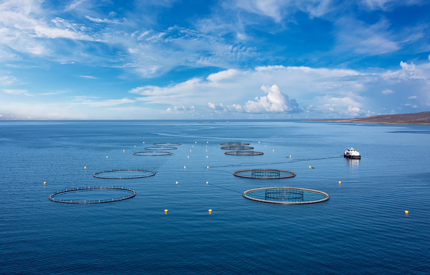A Norwegian salmon farm