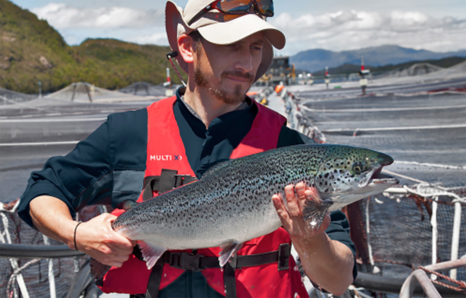 A Multi X employee holding a farmed salmon