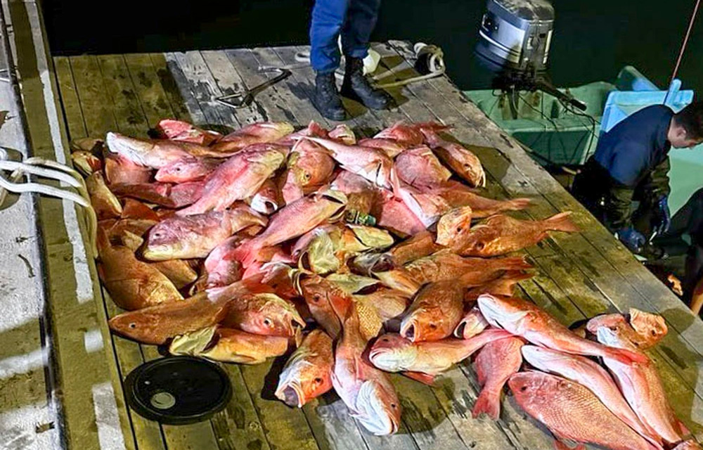 illegally harvest red snapper seized by the U.S. Coast Guard