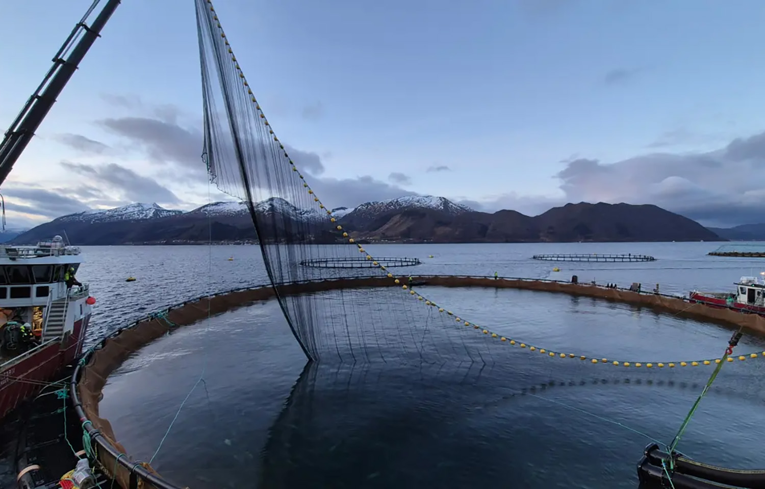 AKVA closes 2025 with strong revenues, solid order intake, and a defined strategy for further growth