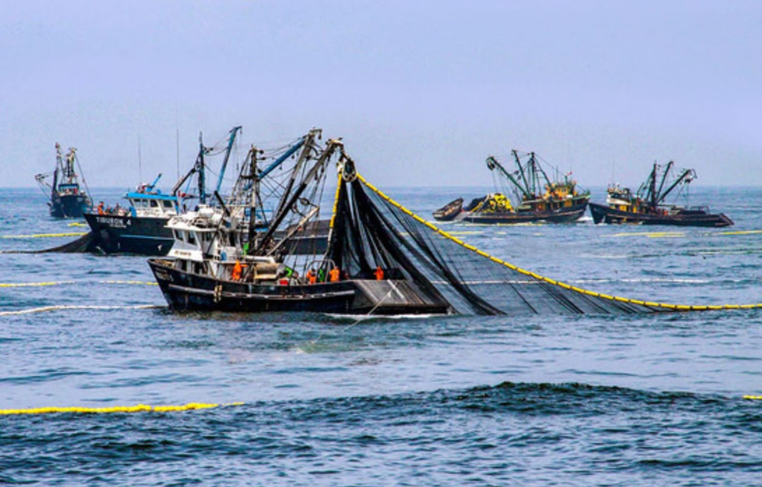 Fish oil, fishmeal production down in March ahead of lower Peru TAC