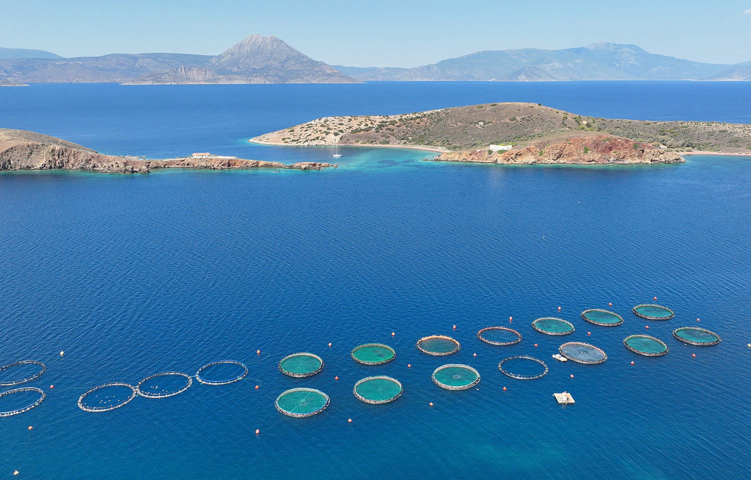 An aerial photo of sea bass farm cages in a Mediterranean bay