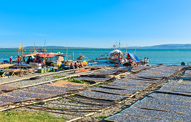 Fish drying on racks in the Philippines.