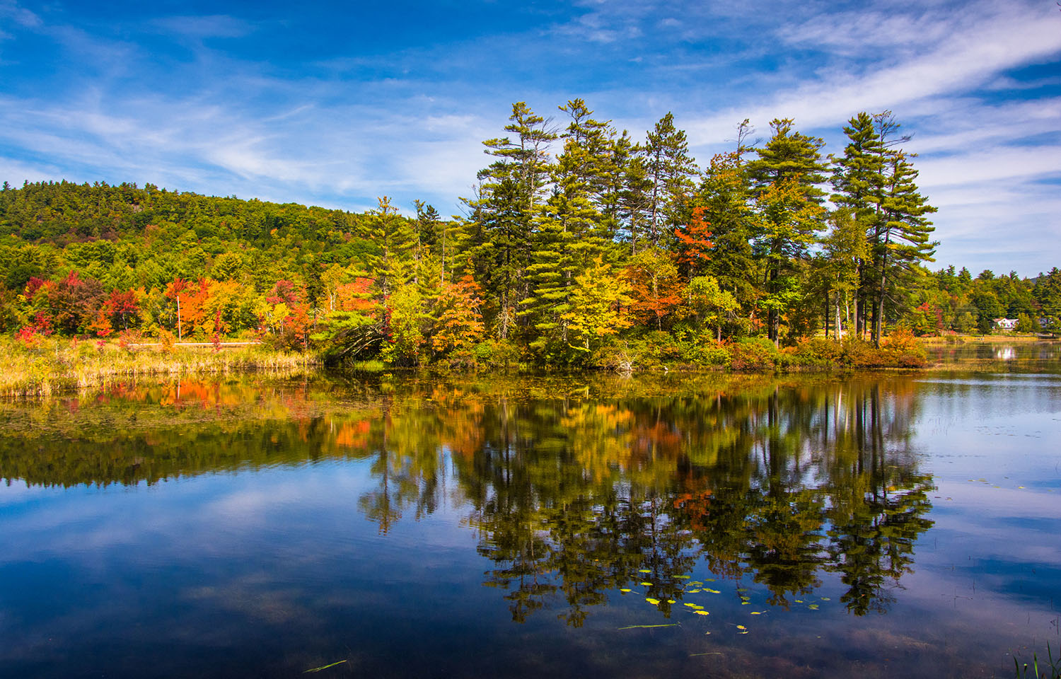 Belfast, Maine is the site of the disbuted parcel, once slated to be the site of the nation's biggest salmon farm