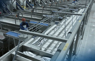 Lübeck, Germany-based seafood-processing equipment manufacturer Baader has acquired 100 percent of Skaginn 3X and has begun process of integration between the two firms.