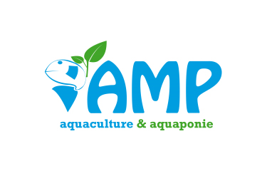 AMP logo