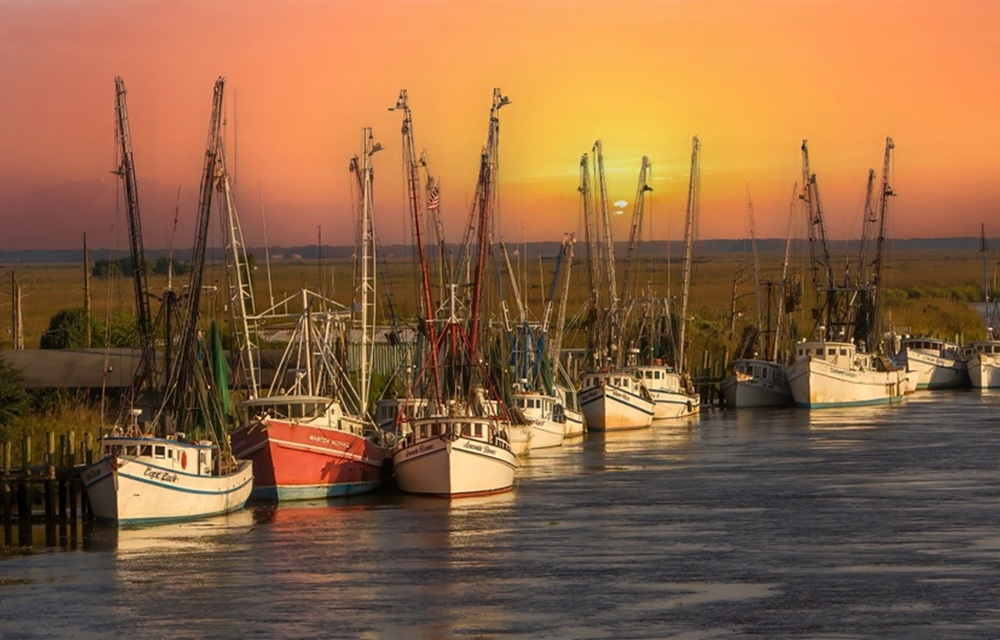 Georgia Senate passes shrimp labeling bill