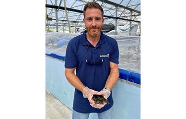 Europrawn Hellas General Manager of Aquaculture Albert Ferrer Lladosa.