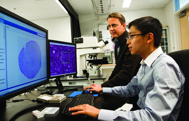 Officials with the FDA examine the results of testing on a computer.