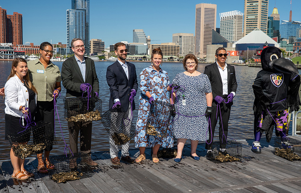 Baltimore Oyster Partnership sets goal of planting 5 million oysters by 2030