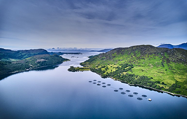 A set of salmon net pens operated by Bakkafrost Scotland