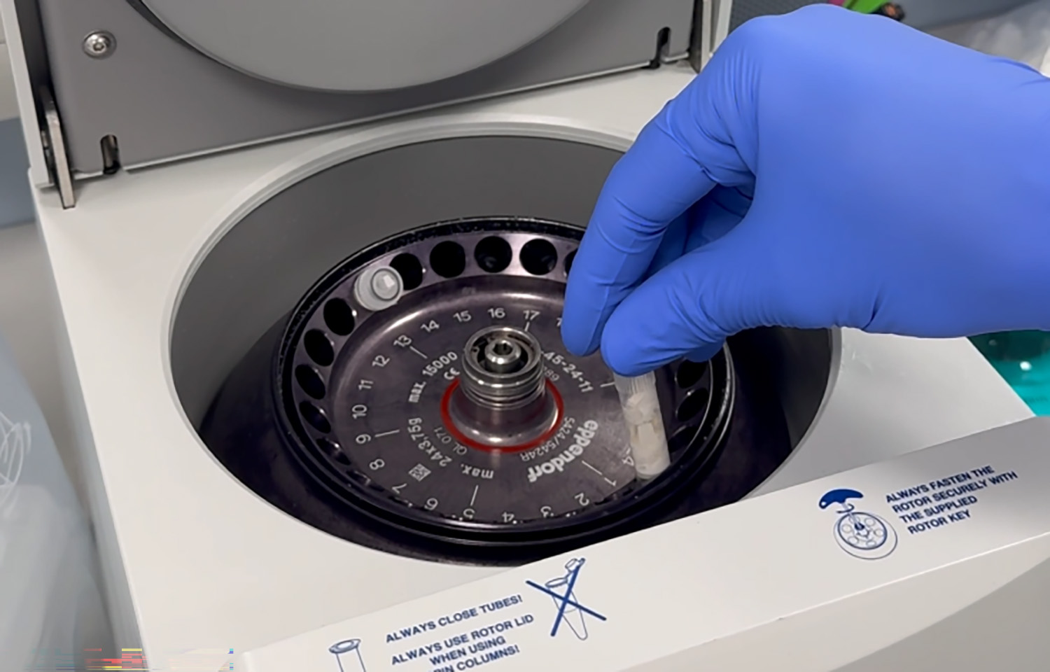 UK partnership aims to mitigate shellfish hatchery losses as industry seeks antibiotic alternatives