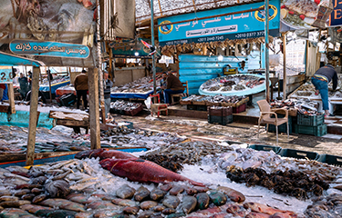 An Egyptian seafood market.