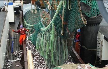 A Bering Sea pollock trawler.