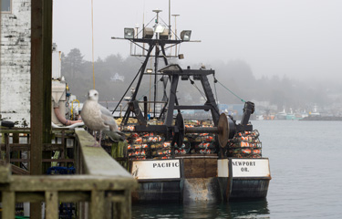 Pacific Seafood's commercial vessel loaded with crab pots is seen docked in Newport, Oregon. Pacific Seafood is one of the largest seafood companies in North America.