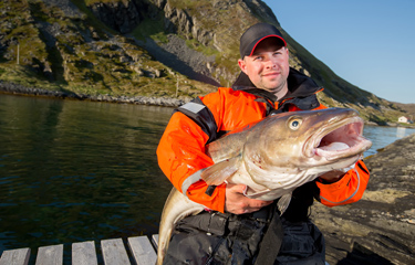 Russian cod and halibut get MSC certification | SeafoodSource