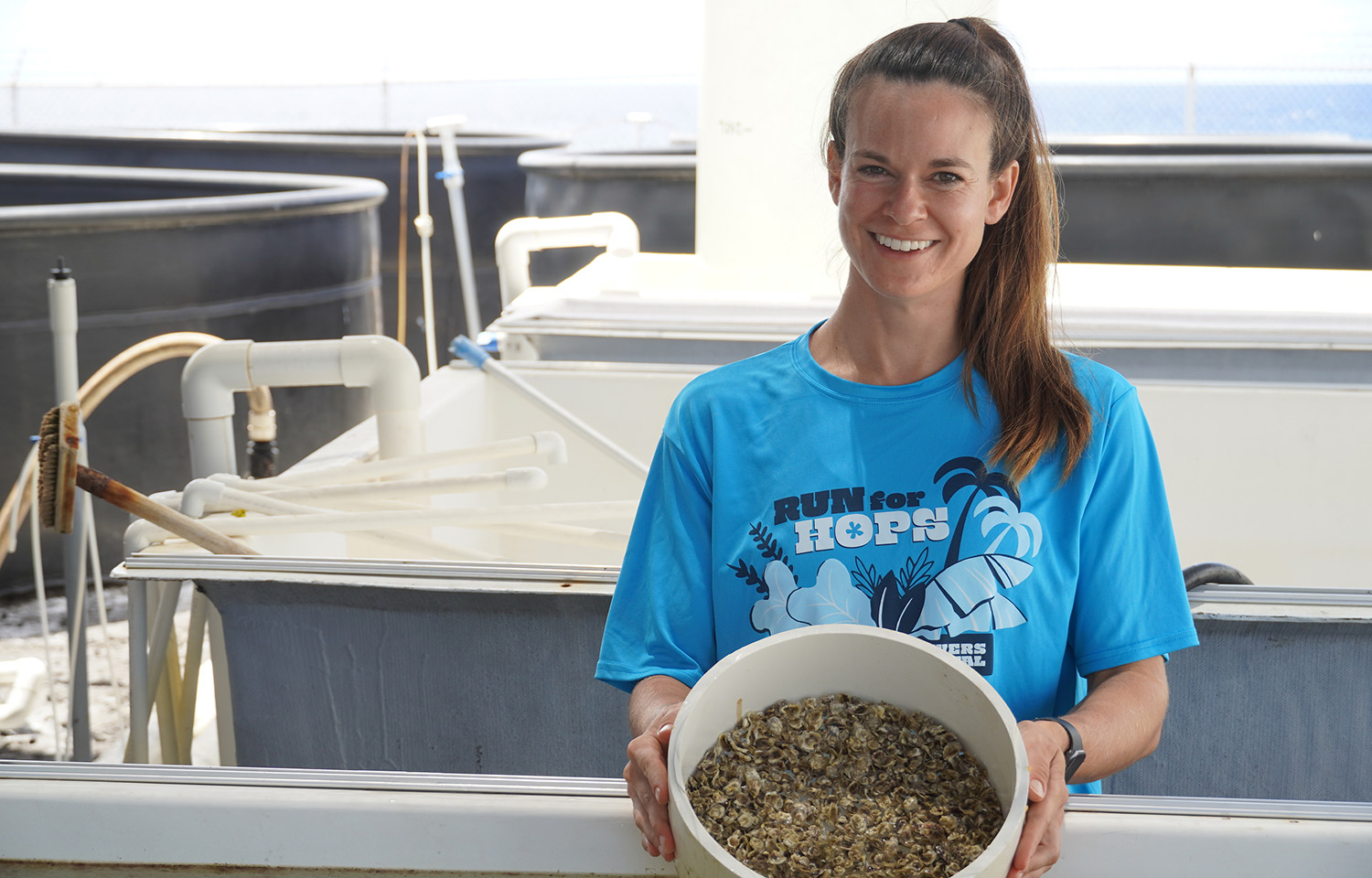 Hawaiian aquaculture company Pacific Hybreed to scale up shellfish production with USD 1 million funding round