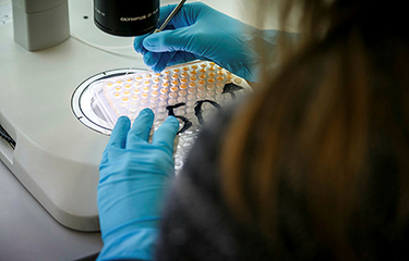 A researcher at the Norwegian Institute of Marine Research in Bergen, Norway.