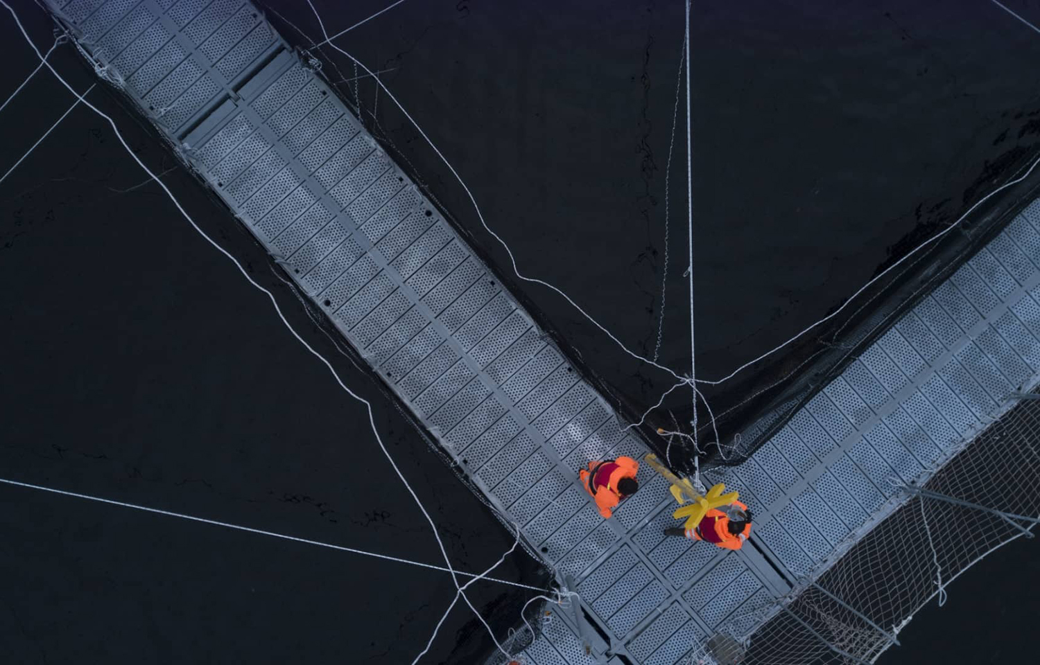An aerial shot of two Australis employees working on one of the firm's net pens
