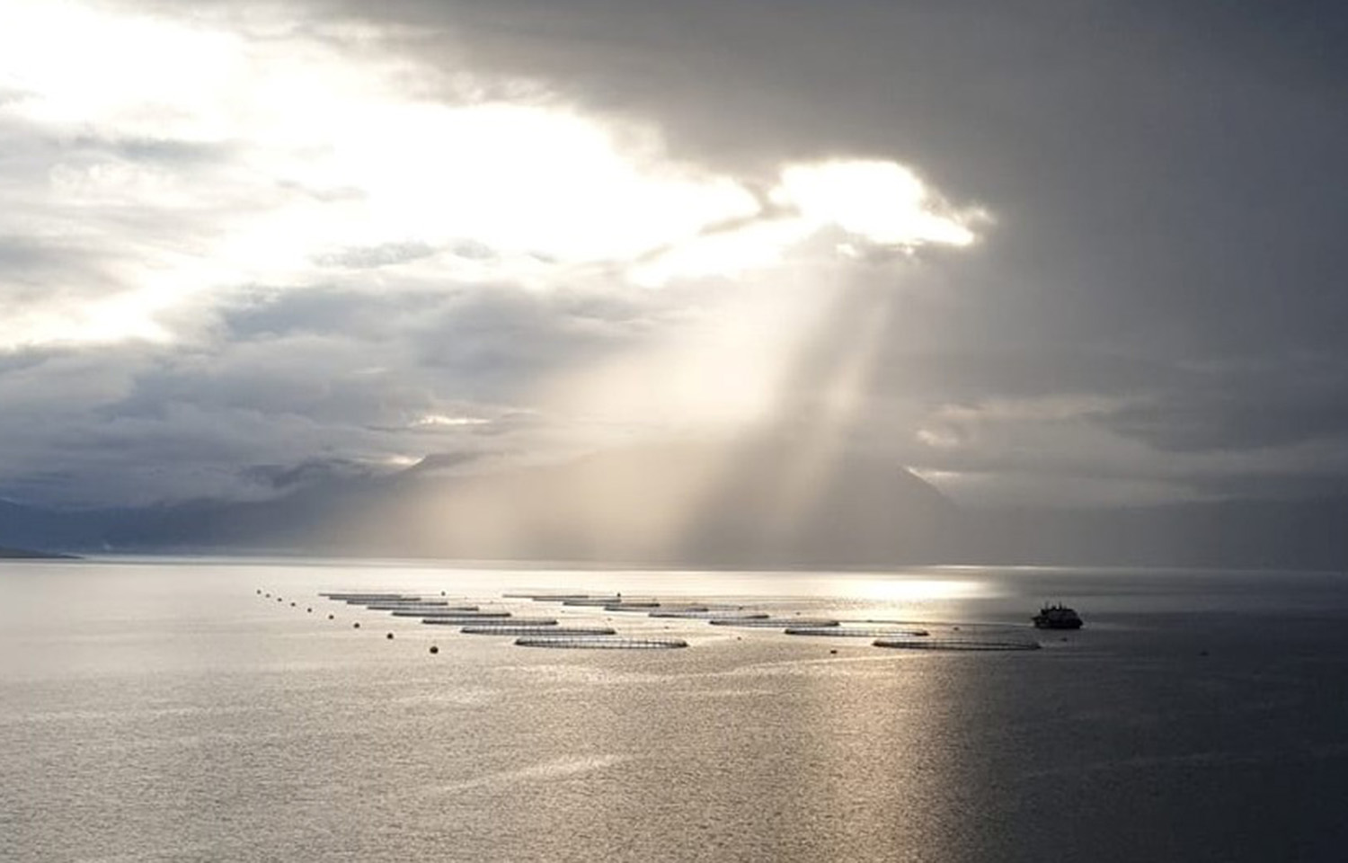 An Ice Fish Farm aquaculture operation in Iceland