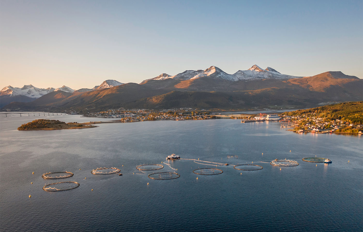 Norway planning to propose changes to cod farming regulations to address escapes