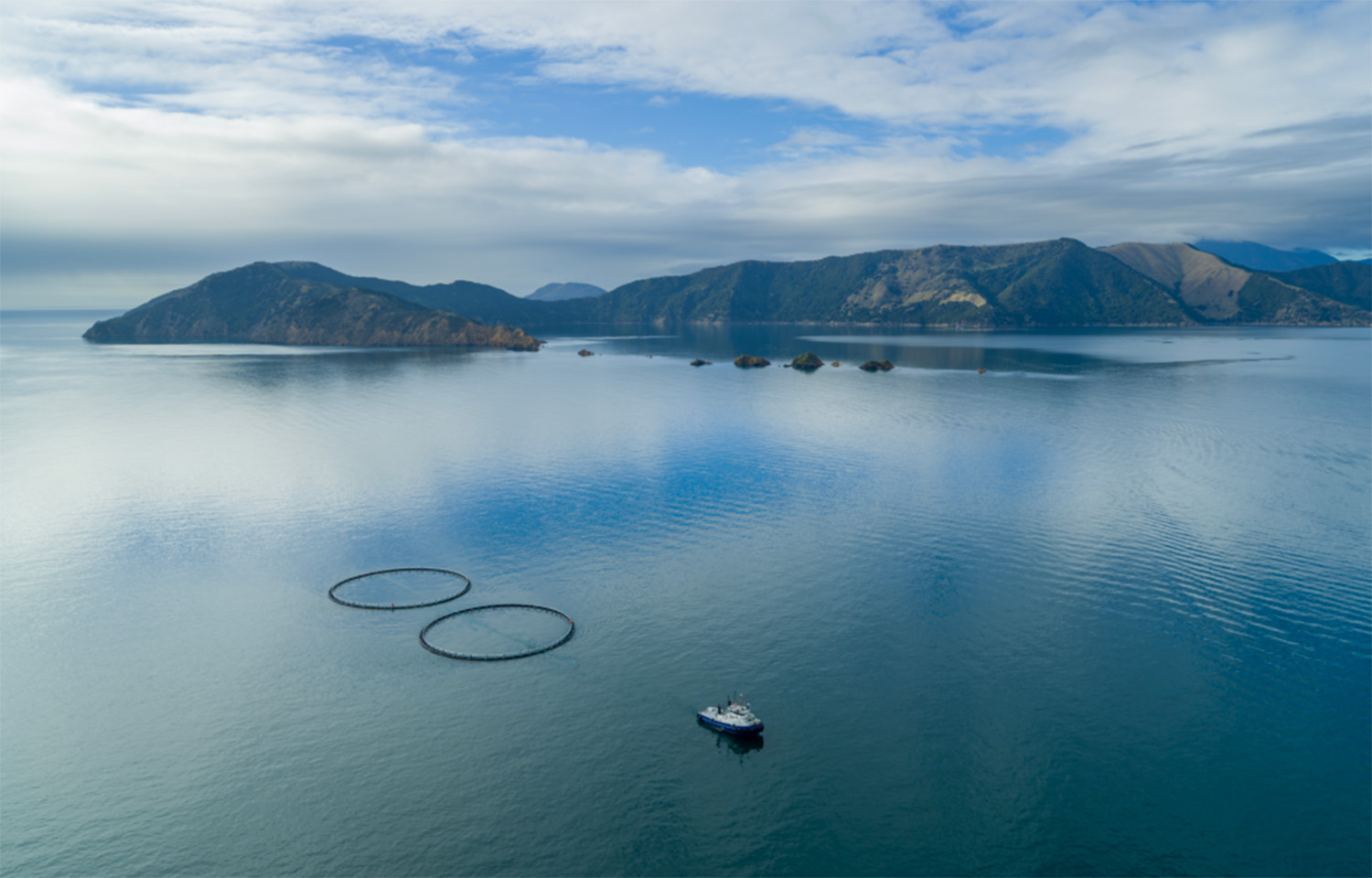 A boat towing New Zealand King Salmon's pilot Blue Endeavor project out to sea