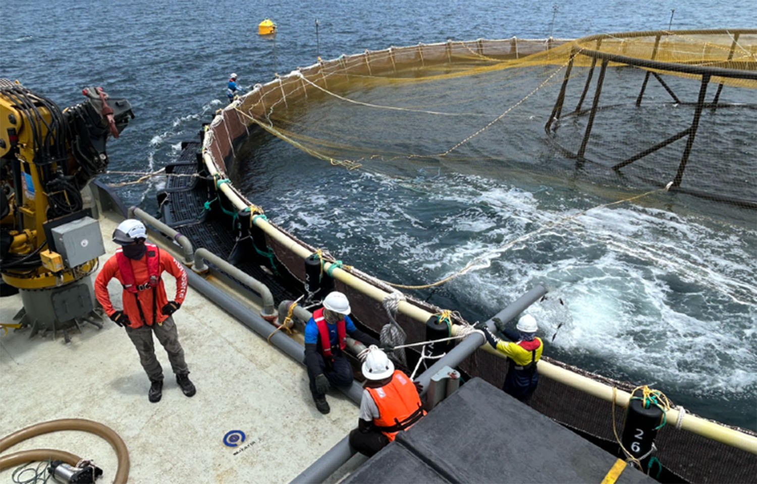 Barramundi Group records profit in 2025 after restructuring scheme, removed from Oslo Børs penalty bench