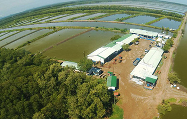 A SeaJoy shrimp aquaculture facility.