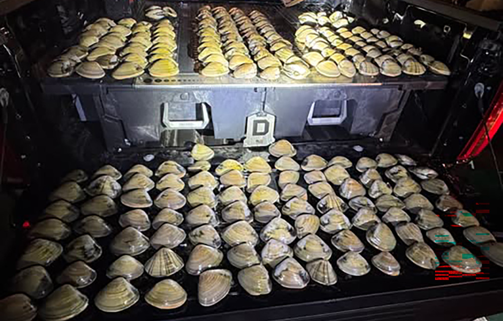 seized Pismo clams