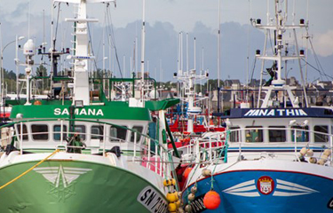 Vessels in the European Union's fishing fleet in harbor.