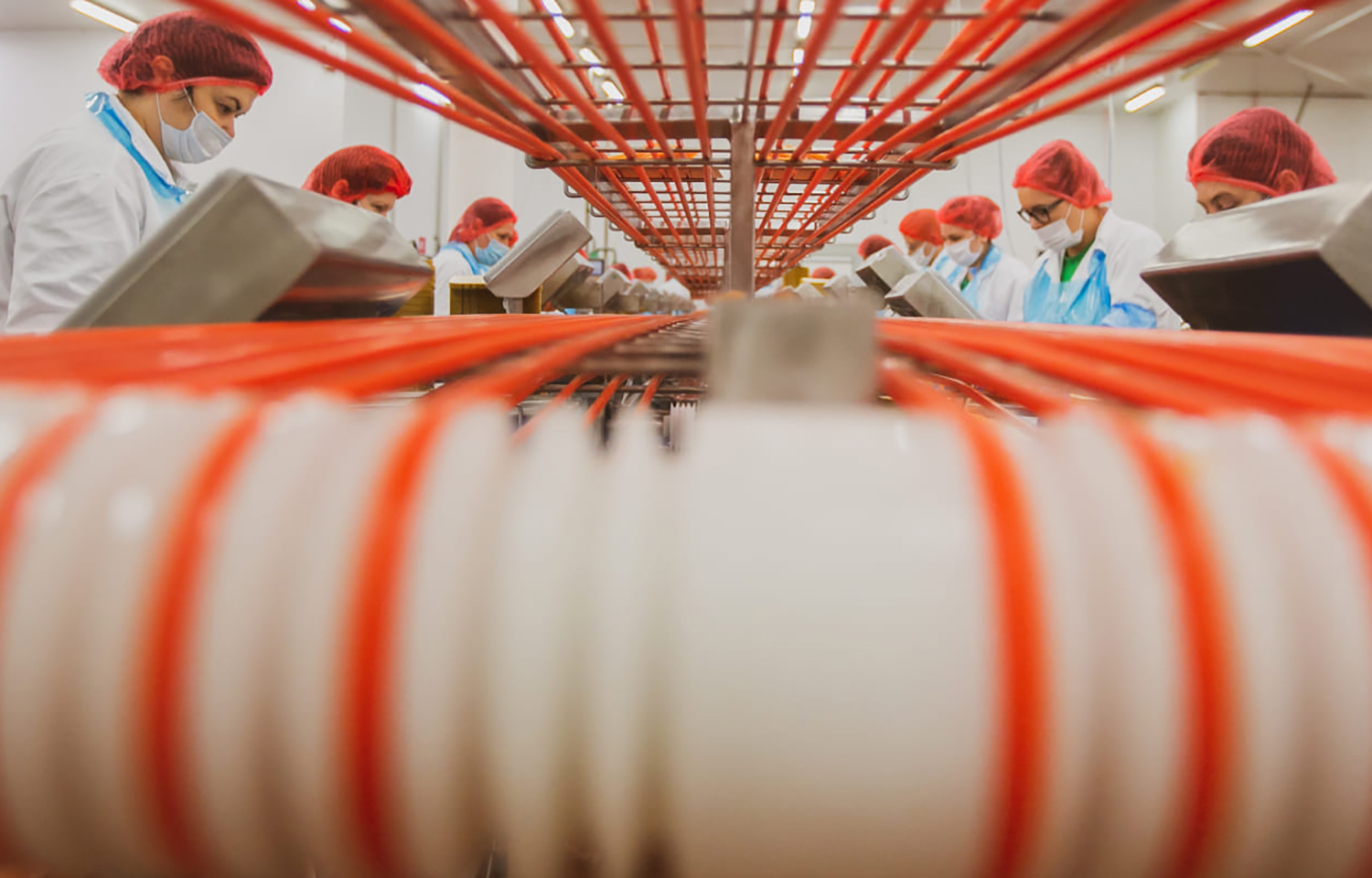 Mowi delivers record Q4, full-year harvests in 2025