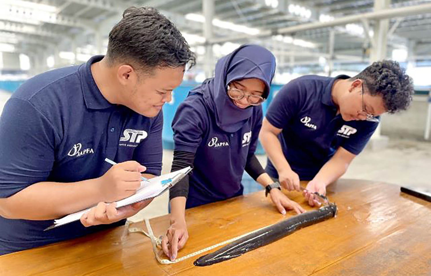 Japfa researchers measuring an eel raised in captivity