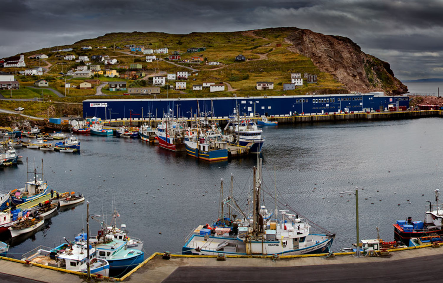 An aerial view of Quinlan Brothers' facility in Newfoundland