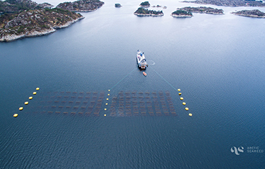 Arctic Seaweed farm aerial shot