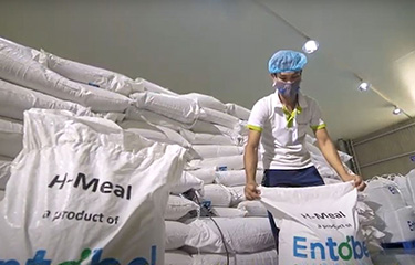 Bags of Entobel's H-Meal feed.